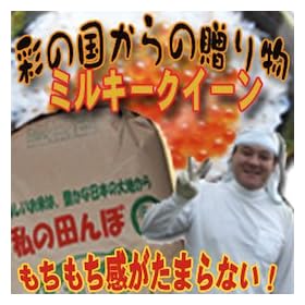 �Q�R�N�Y ��ʌ� �t���� ���Δ_�� �~���L�[�N�C�[�� 1������