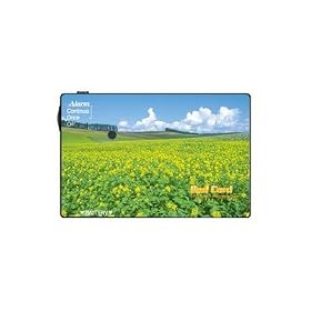 ��؂ȋM�d�i���X��������I RedCard[���b�h�J�[�h]/�؂̉�