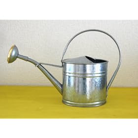 ���傤�� �u���L�E�H�[�^�����O�J�� 1.5L  �V���o�[