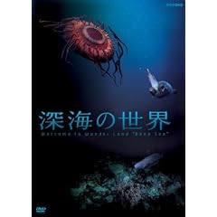 �[�C�̐��E [DVD]