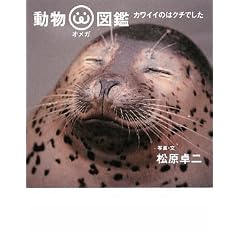 ◆新刊