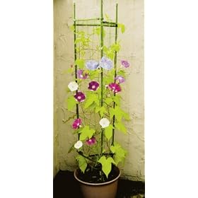 DAIM�@�l�b�g�t�T�|�[�g�x���@��11�~150cm�@�L���E����G���h�E�A�A�T�K�I��N���}�`�X�ɂ鐫�A������������ƃT�|�[�g�I