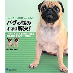 �p�O�̔Y�� ���΂����!