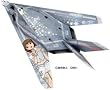 1/72 F-117A�i�C�g�z�[�N�u�A�C�h���}�X�^�[��������v