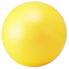 �g�[�^���t�B�b�g�l�X(TotalFitness) �t�B�b�g�l�X�{�[�� STT068 55cm