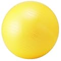 �g�[�^���t�B�b�g�l�X(TotalFitness) �t�B�b�g�l�X�{�[�� STT068 55cm