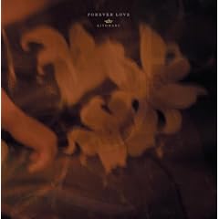 FOREVER LOVE(���񐶎Y�����)(DVD�t)