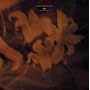FOREVER LOVE(���񐶎Y�����)(DVD�t)