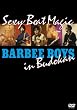 BARBEE BOYS IN ������ Sexy Beat Magic [DVD]