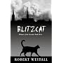 Blitzcat
