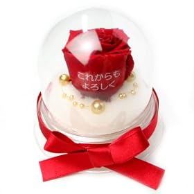 ���b�Z�[�W���[�Y (Preserved Rose) ���[�Y�h�[�� S1~��M�̃��u�W���b�N~���b�h �y���{���t���z�y���ꂩ�����낵���z 22217