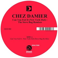 Can You Feel It (New York Dub)/the Steve Bug Remix [Analog]