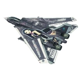 F-14D �g���L���b�g �A�C�h���}�X�^�[ �O�Y������ (1/48 SP270)
