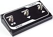 DIGITECH FS3X