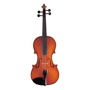 Amazon.co.jp： バイオリン No.550 鈴木バイオリン: 楽器