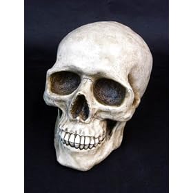 �s�a�r�@���j�h���}�u���}�g�i�f�V�R���ω��v�̃X�i�R�̕����ɏo�܂����Bskull daddy �X�J�� �o���N�@(������)�@�k����