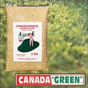 【クリックで詳細表示】カナダ・グリーン