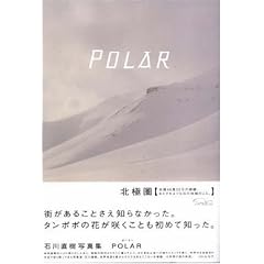 POLAR �|�[���[