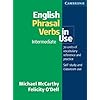 English Phrasal Verbs in Use Intermediate (Professional English in Use)