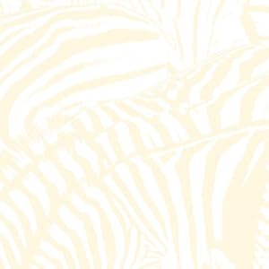 【クリックで詳細表示】Teen Dream (W/Dvd) [Import， from US]