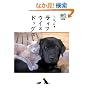 �V�F���p�ē� ���C�t�E�C�Y�h�b�O�X (�G�C����)