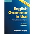English Grammar in Use with Answers: A Self-Study Reference and Practice Book for Intermediate Students of English