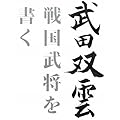 ���c�o�_ �퍑���������� ~�V�n�l OFFICIAL BOOK