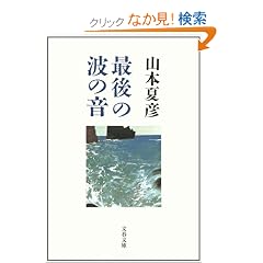�Ō�̔g�̉� (���t����)