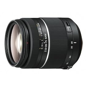 �\�j�[ ���}�E���g���������Y SAL2875