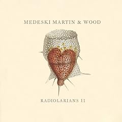 Radiolarians 2 (Dig)
