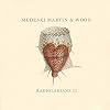 Radiolarians 2 (Dig)