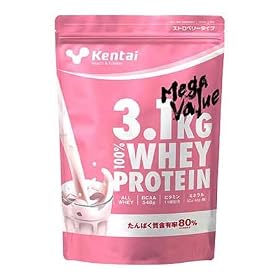 ���N�̗͌����� KENTAI ���K�o�����[ 3.1kg 100���z�G�C�v���e�C�� �X�g���x���[����