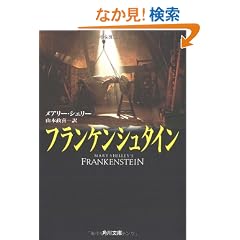 �t�����P���V���^�C�� (�p�앶��)