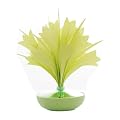�~�N�j �~�X�e�B�u�[�P POPcolor (�|�b�v�J���[) �O���[��