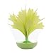 �~�N�j �~�X�e�B�u�[�P POPcolor (�|�b�v�J���[) �O���[��