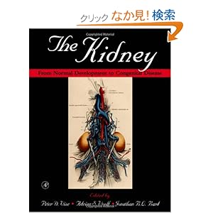 【クリックでお店のこの商品のページへ】The Kidney: From Normal Development to Congenital Disease: Peter D. Vize, Adrian S. Woolf, Jonathan B.L. Bard: 洋書