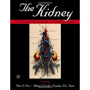 【クリックで詳細表示】The Kidney： From Normal Development to Congenital Disease： Peter D. Vize， Adrian S. Woolf， Jonathan B.L. Bard： 洋書