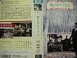 �L�肪�������� [VHS]