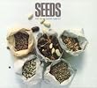 Seeds