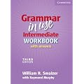 Grammar in Use Intermediate Workbook with Answers