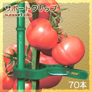 【クリックで詳細表示】サポートクリップ(ワンタッチ茎クリップ)70本