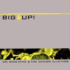 Big Up [12 inch Analog]