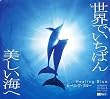 �q�[�����O�E�u���[~���E�ł����΂�������C��~