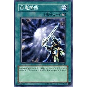 �V�Y���J�[�h �y �����~�� �z EE1-JP082-N �s�G�L�X�p�[�g�G�f�B�V����1�t