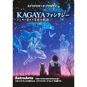 �X�e���i�r�Q�[�^�E�A�N�Z�T�� KAGAYA �t�@���^�W�[