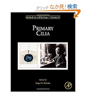 【クリックでお店のこの商品のページへ】Primary Cilia, Volume 94 (Methods in Cell Biology): Roger D. Sloboda: 洋書