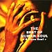 THE BEST OF HUMAN SOUL