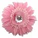 Katelyn&CoBabyPinkDaisyFlowerClip