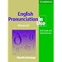 English Pronunciation in Use: Advanced: Self-Study and Classroom Use (English Pronunciation in Use)