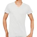 (�O���[)GUNZE �ythe GUNZE�z V�l�b�NT�V���c2���g �ySTANDARD basic�z CK9015P